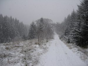 Snow expected in Scotland from Thursday 19th December.