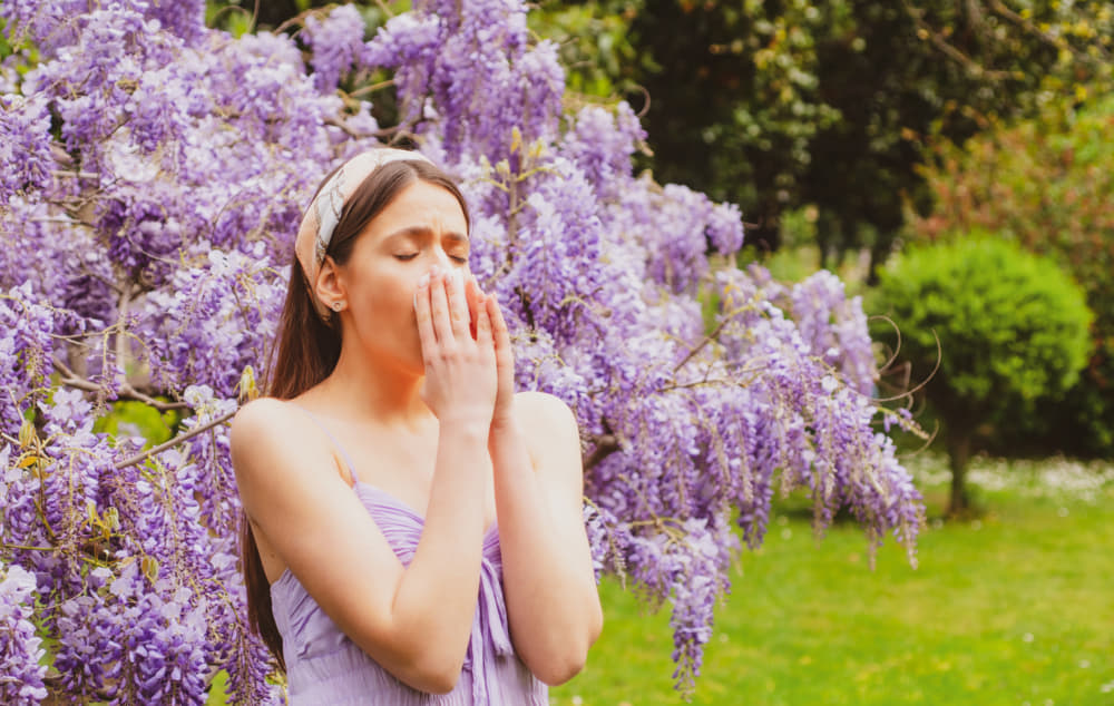 Seasonal Allergy Symptoms How To Identify A Pollen Allergy