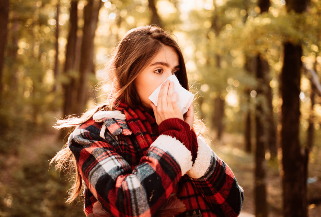 pollen - hay fever - seasonal allergies