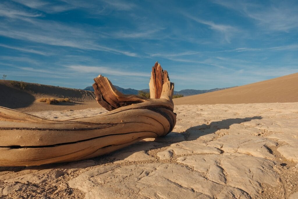 Cracked desert floor of Death Valley, California, the hottest place on Earth