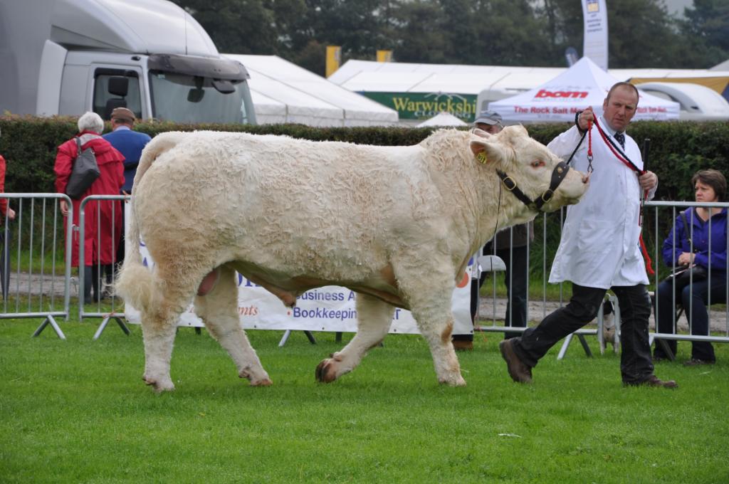 Westmorland County Show (7 Day Weather Forecast For Milnthorpe)