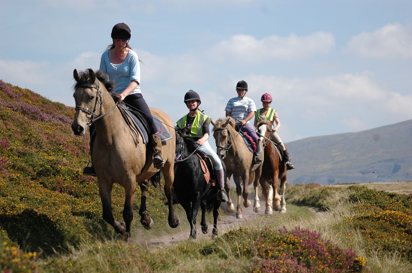 Snowdonia Riding Stables (7 Day Weather Forecast For Caernarfon)