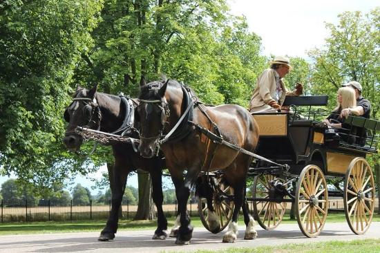 Windsor Horse Drawn Carriage Rides (7 Day Weather Forecast For windsor)