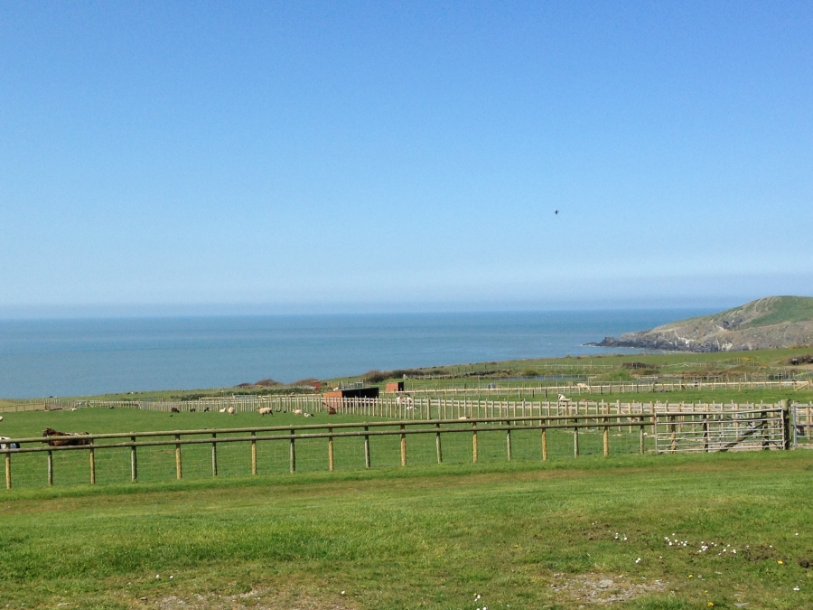 Cardigan Island Coastal Farm Park (7 Day Weather Forecast For Cardigan)