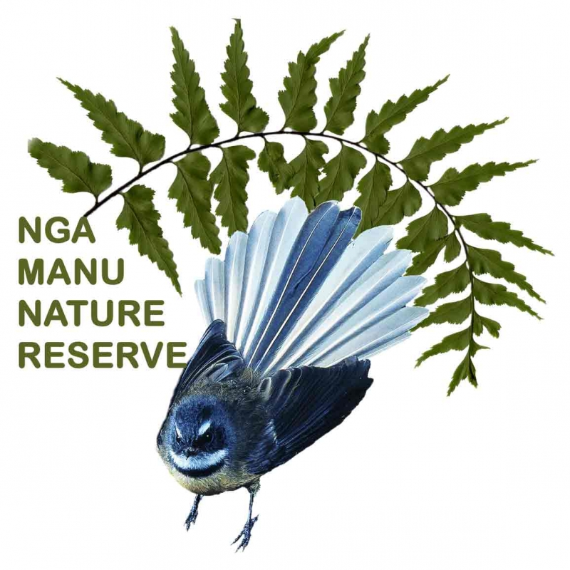 nga-manu-nature-reserve-new-zealand-native-plants-wildlife-7-day