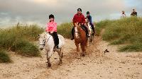 Cornish Riding Holidays/Wheal Buller Riding School