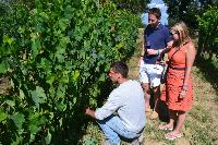 Tuscan Wine Tour by ITALY AND WINE