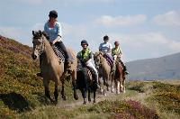 Snowdonia Riding Stables
