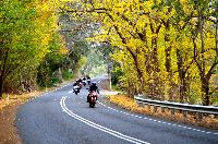 Motorcycle guided tours
